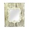 Raz New Romance Brown Victorian Detail Decorative Wooden Wall Mirror 14"H